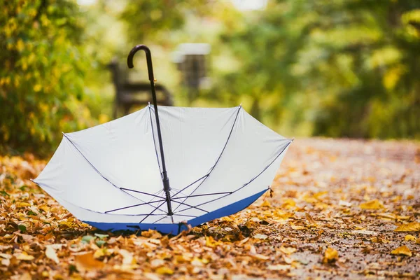 Foto Paraguas Abierto Parque Rodeado Hojas Otoño — Foto de Stock