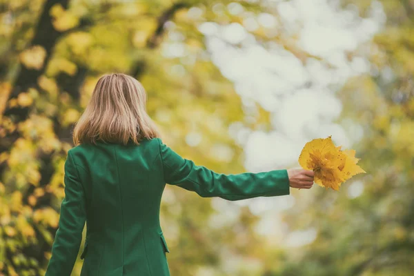 Mujer Sosteniendo Hojas Otoño Disfrutar Otoño Mientras Está Pie Parque — Foto de Stock