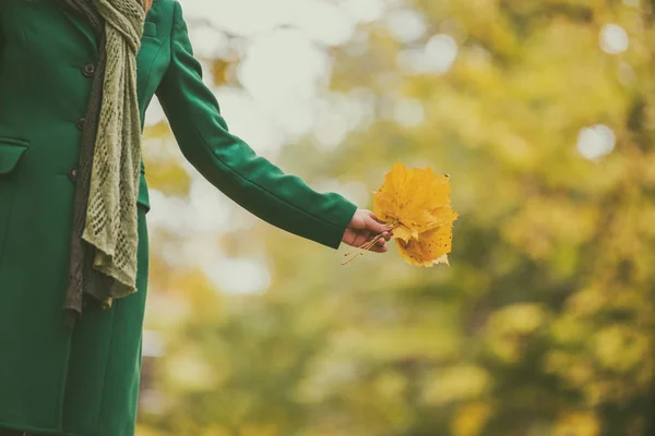 Mujer Sosteniendo Hojas Otoño Disfrutar Otoño Mientras Está Pie Parque — Foto de Stock