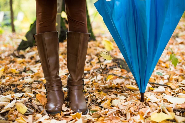 Cerca Foto Paraguas Mujer Botas Pie Parque Rodeado Hojas Otoño —  Fotos de Stock