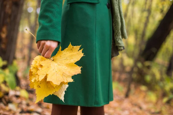Женщина Держит Осенние Листья Наслаждаться Осенью Стоя Парке — стоковое фото