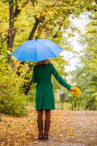 Mujer Sosteniendo Paraguas Hojas Otoño Mientras Está Pie Parque — Foto de Stock