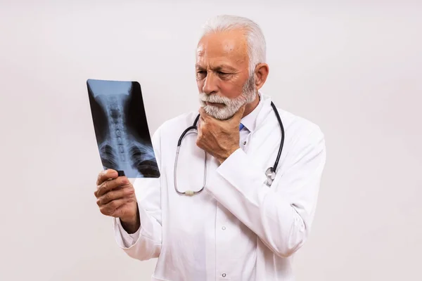 Portrait Worried Senior Doctor Holding Ray Image Gray Background — Stock Photo, Image