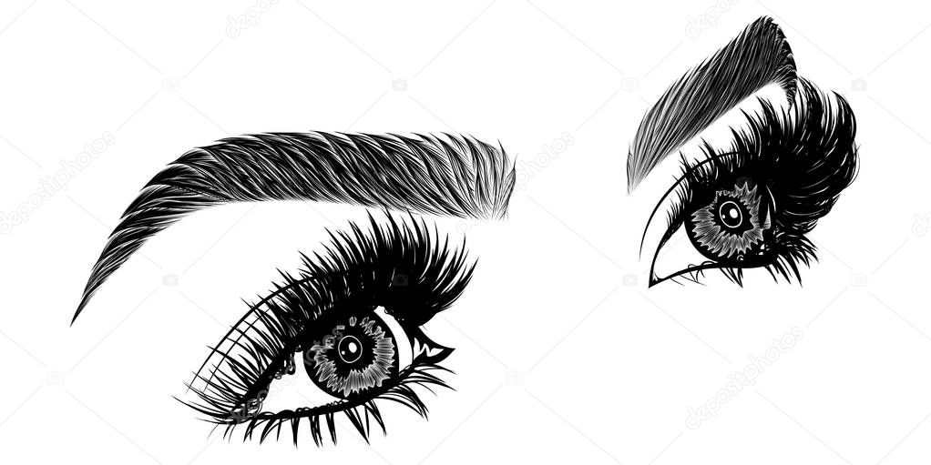 Illustration with woman's eyes, eyelashes and eyebrows. Realistic sexy makeup look. Tattoo design. Logo for brow bar or lash salon.