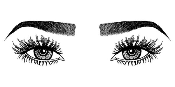 Иллюстрация с женскими глазами, ресницами и бровями. Макияж. Татуировка дизайн. Логотип для бровного бара или салона ресниц.