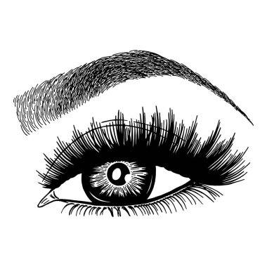 Kadın gözleri, kirpikleri ve kaşları olan bir resim. Gerçekçi seksi makyaj görünüşü. Dövme tasarımı. Kaş barı veya kırbaç salonu logosu.