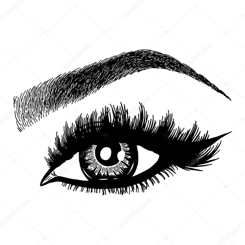 Illustration with woman's eyes, eyelashes and eyebrows. Realistic sexy makeup look. Tattoo design. Logo for brow bar or lash salon.