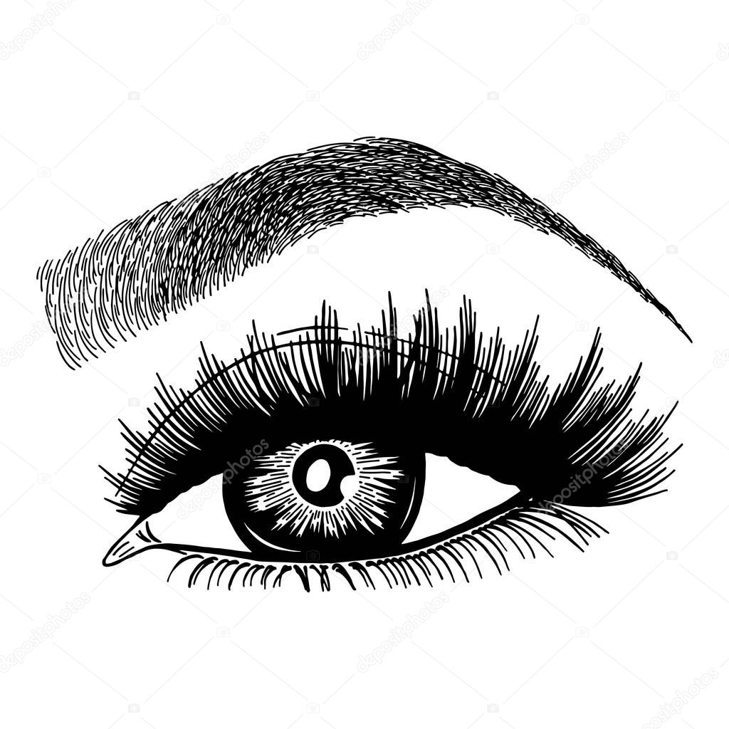 Illustration with woman's eyes, eyelashes and eyebrows. Realistic sexy makeup look. Tattoo design. Logo for brow bar or lash salon.