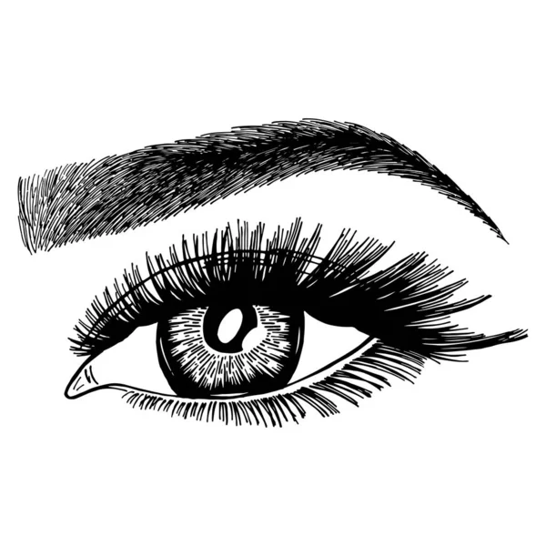 用女人的眼睛和眉毛来说明 化妆你看 纹身设计 — 图库矢量图片