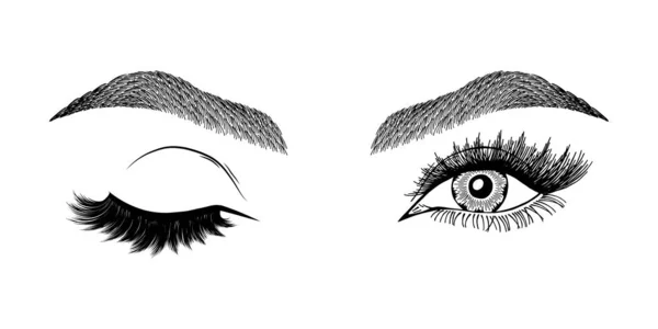 Illustration Med Kvinnans Ögonblinkning Ögonbryn Och Ögonfransar Smink Titta Tatueringsdesign — Stock vektor