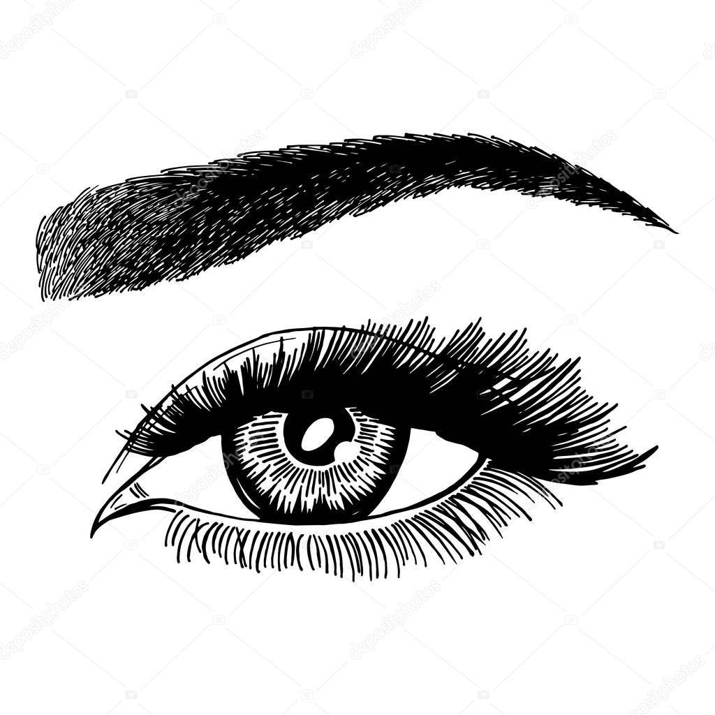 Illustration with woman's eye, eyelashes and eyebrow. Makeup Look. Tattoo design. Logo for brow bar or lash salon.
