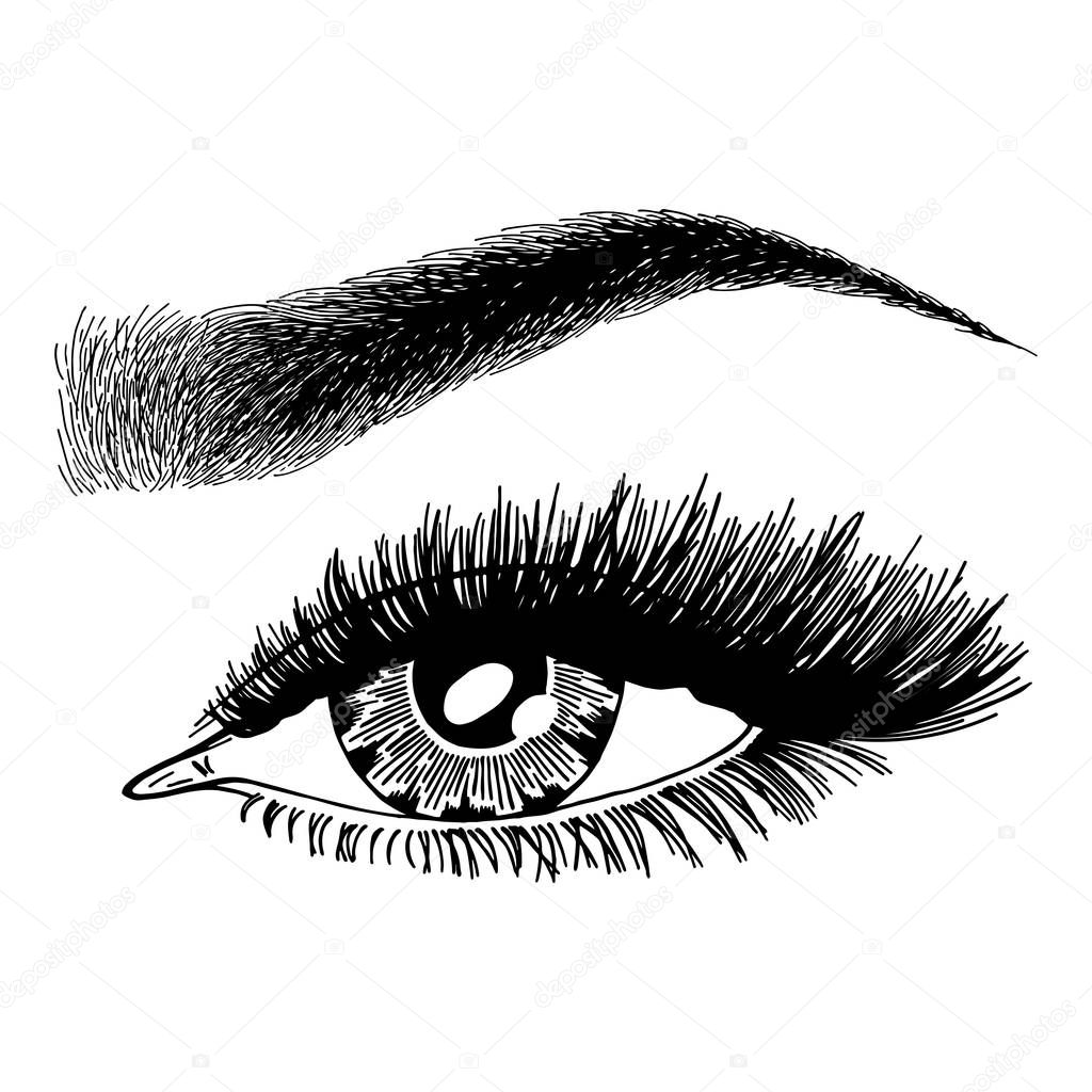 Illustration with woman's eye, eyelashes and eyebrow. Makeup Look. Tattoo design. Logo for brow bar or lash salon.