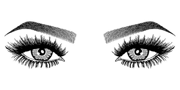 Иллюстрация с женскими глазами, ресницами и бровями. Макияж. Татуировка дизайн. Логотип для бровного бара или салона ресниц.