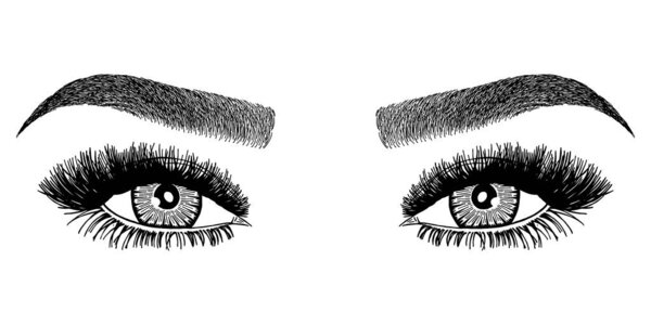 Иллюстрация с женскими глазами, ресницами и бровями. Макияж. Татуировка дизайн. Логотип для бровного бара или салона ресниц.