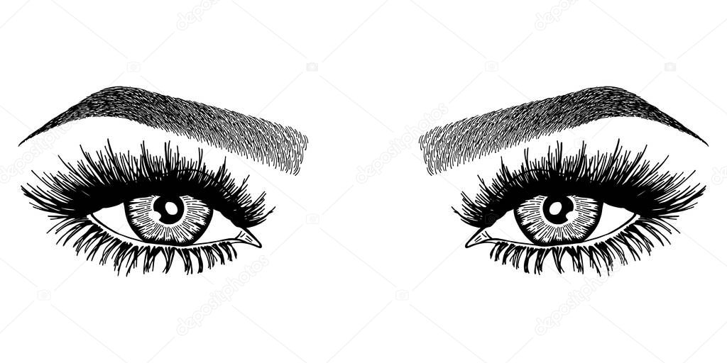 Illustration with woman's eyes, eyelashes and eyebrows. Makeup Look. Tattoo design. Logo for brow bar or lash salon.