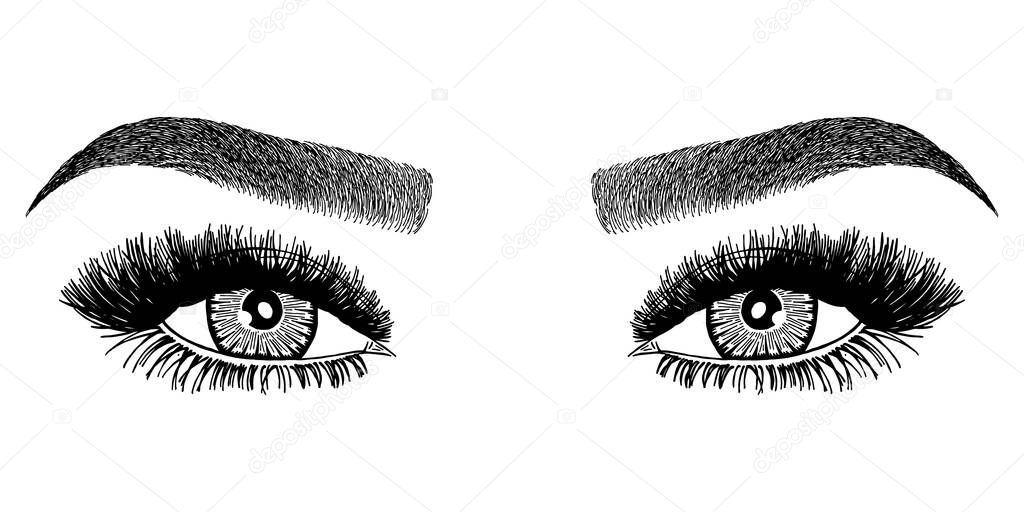 Illustration with woman's eyes, eyelashes and eyebrows. Makeup Look. Tattoo design. Logo for brow bar or lash salon.