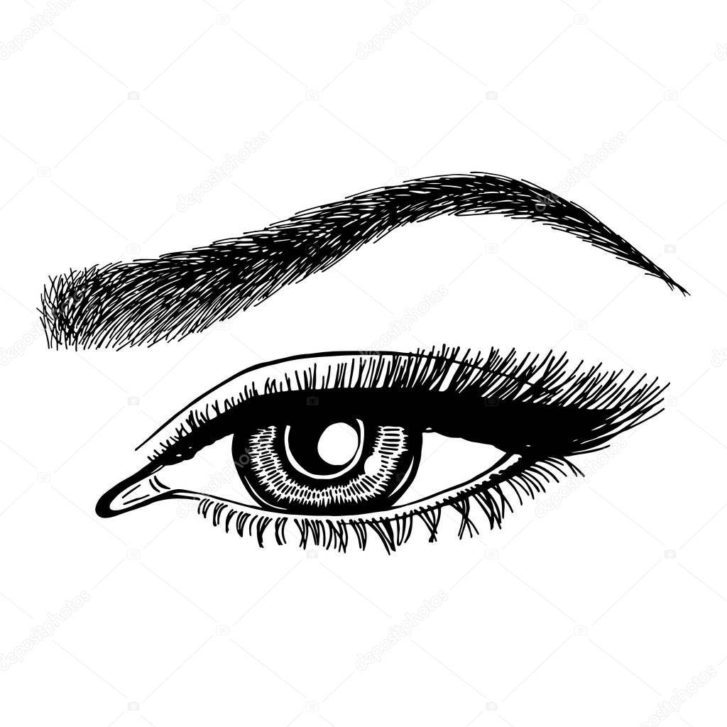 Illustration with woman's eye, eyelashes and eyebrow. Makeup Look. Tattoo design. Logo for brow bar or lash salon.