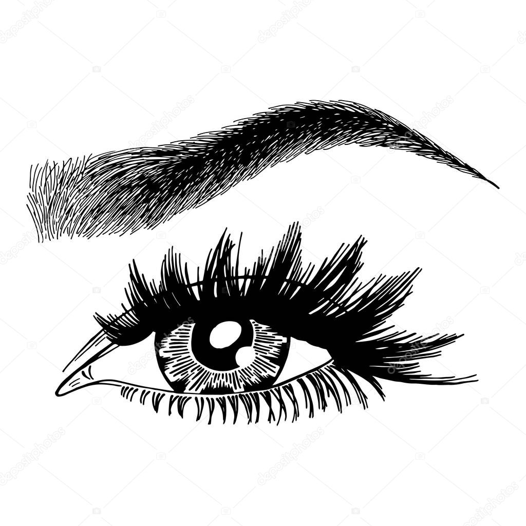 Illustration with woman's eye, eyelashes and eyebrow. Makeup Look. Tattoo design. Logo for brow bar or lash salon.