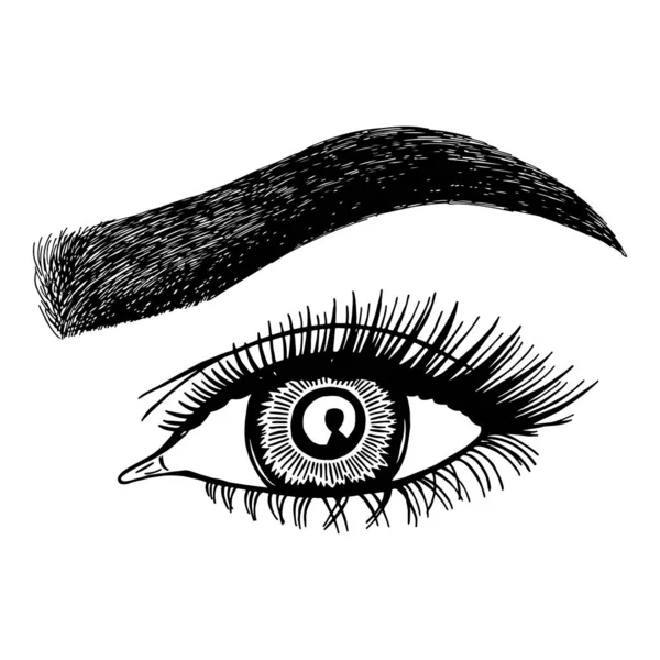 Иллюстрация Женским Глазом Ресницами Бровями Макияж Татуировка Дизайн Логотип Бровного — стоковый вектор