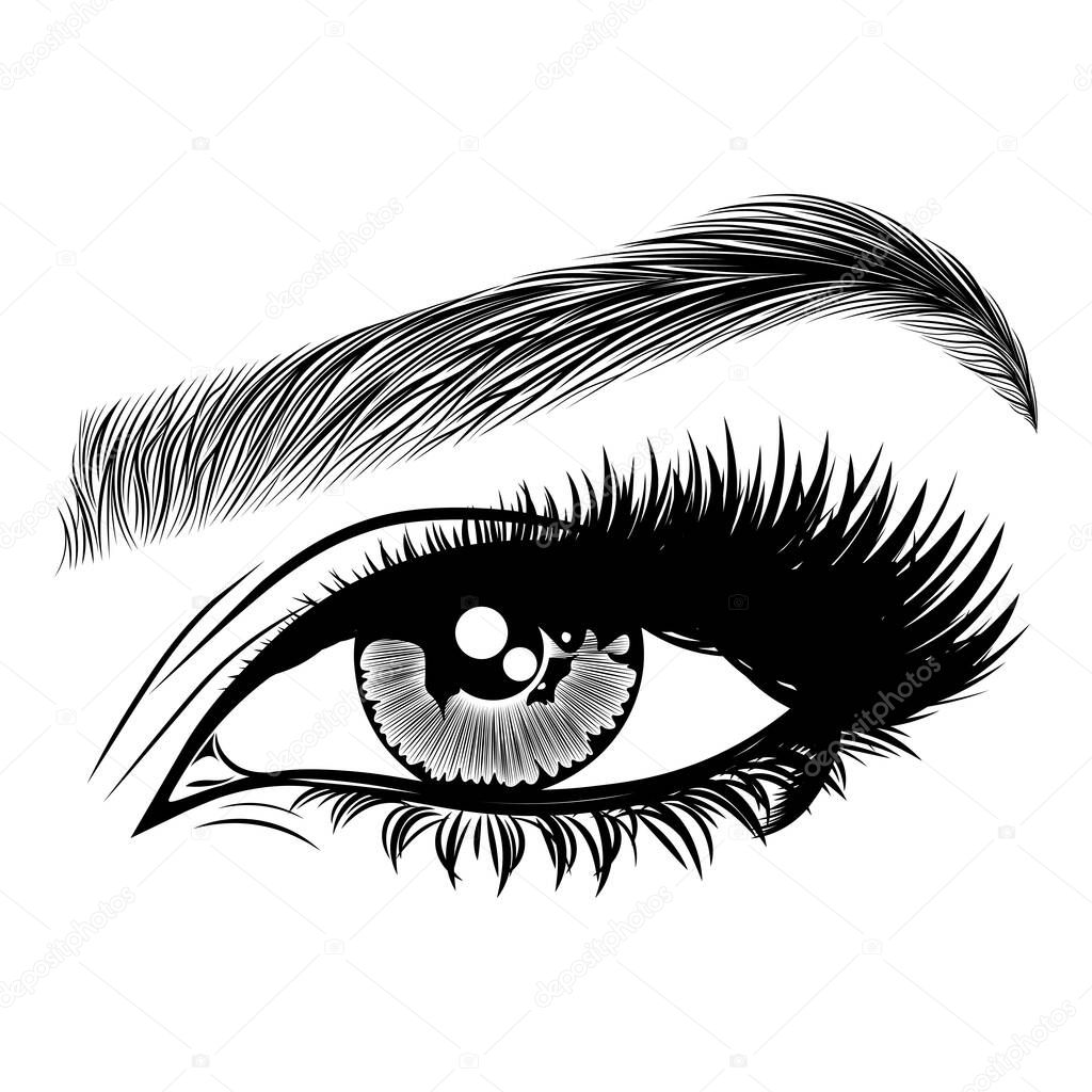 Illustration with woman's eye, eyelashes and eyebrow. Makeup Look. Tattoo design. Logo for brow bar or lash salon.