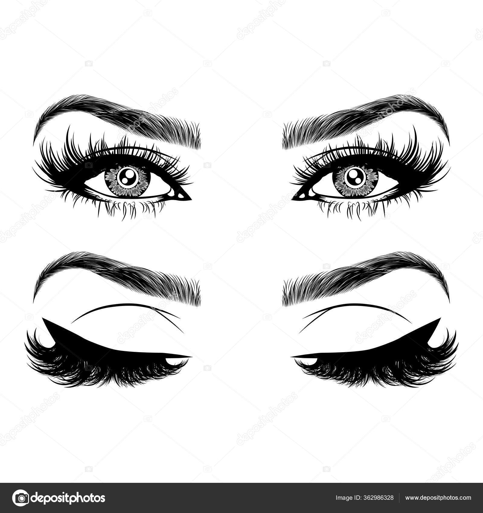 Illustration Woman's Eyes Eyelashes Eyebrows Realistic Sexy Makeup Look