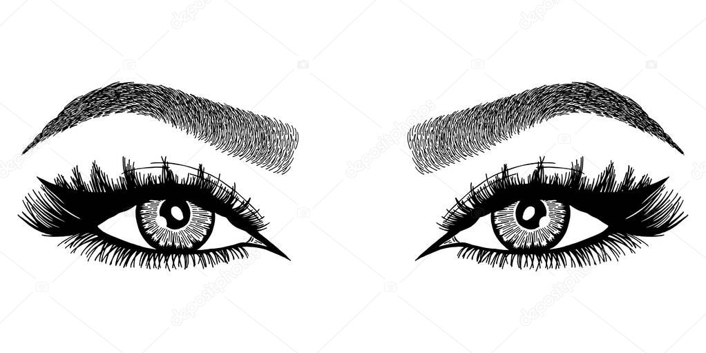 Illustration with woman's eyes, eyelashes and eyebrows. Realistic sexy makeup look. Tattoo design. Logo for brow bar or lash salon.