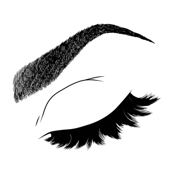 Ilustración Con Pestañas Cejas Mujer Aspecto Maquillaje Sexy Realista Diseño — Vector de stock