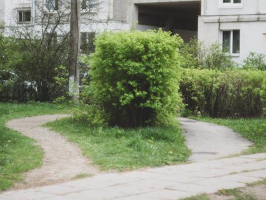 Şehir bahçesindeki yol kemerin arka planında.