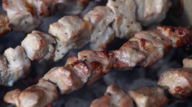 Güzel kokulu kebap ızgara döner üzerinde şiş üzerinde kavrulmuş