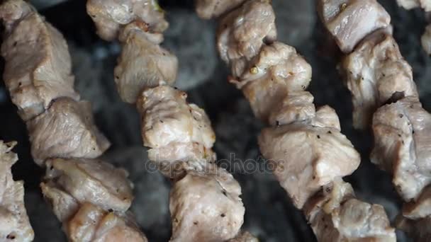 Illatos kebab a nyársat a grill forgó pörkölt — Stock videók