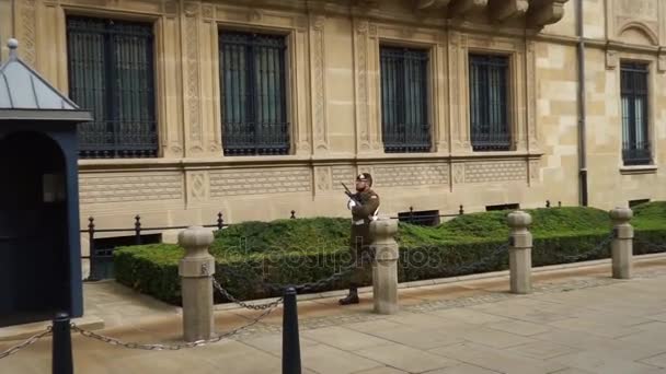 Luxembourg, Luxemburg - 2017. szeptember 18.: Őr előtt a Palais Grand-Ducal nagyhercegi palotától — Stock videók