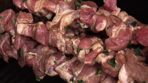 Fragrante shish kebab Shashlik è arrostito su spiedini sulla griglia a gas — Video Stock
