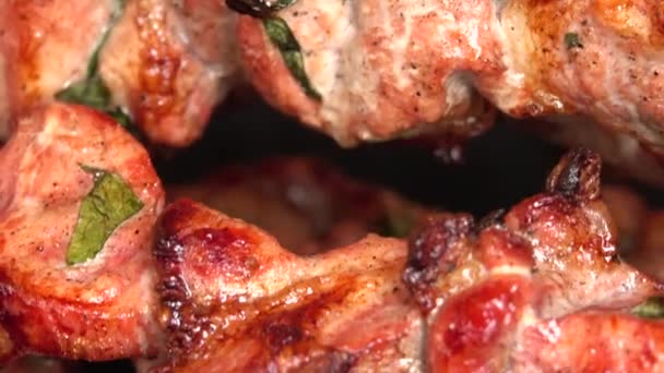 Duftendes Schaschlik vom Schaschlik wird am Spieß auf dem Gasgrill gebraten — Stockvideo