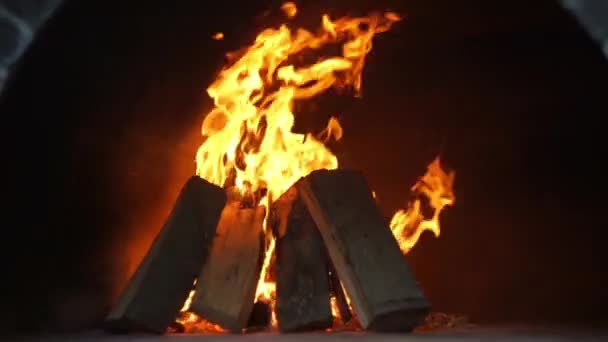 Fuego de madera en la oscuridad — Vídeo de stock