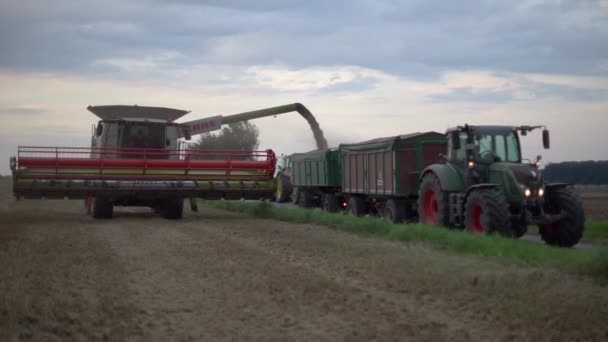 德国汉诺威-2017年8月08日: 联合收割机卸粮谷物在卡车上 — 图库视频影像