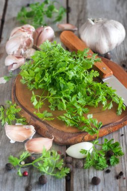 Frenk maydanozu ot arka plan