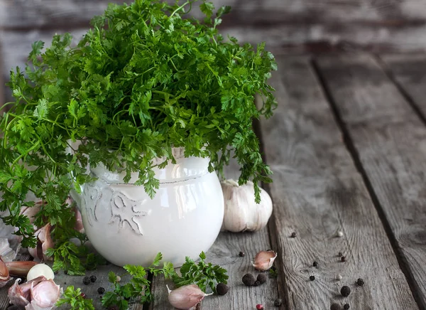 Chervil herb background — Stock Photo, Image