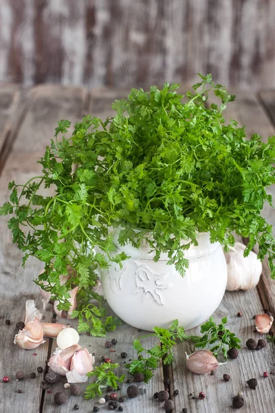 Chervil herb background — Stock Photo, Image