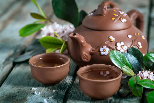 Tea and spring blossom — Stock Photo, Image