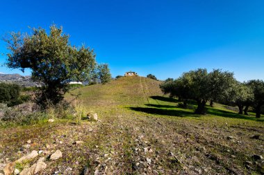 Bir tepede harabe halinde eski bir ev.