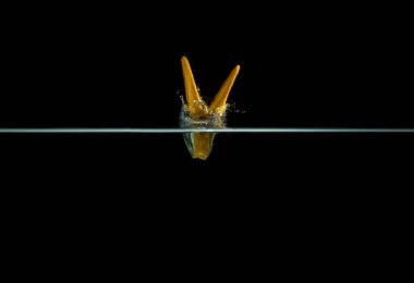 Siyah arkaplandaki fotoğraf mandalları