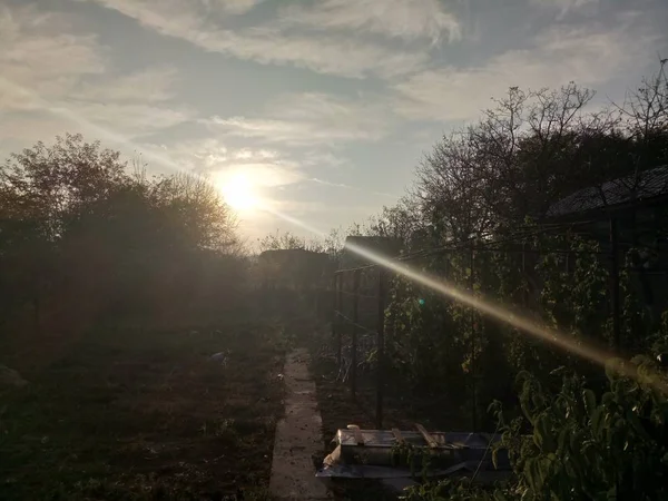 Puesta Sol Otoño Sobre Jardín Del Patio Trasero — Foto de Stock