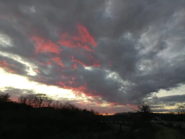 Coucher Soleil Automne Sur Champ Maïs Roumanie — Photo