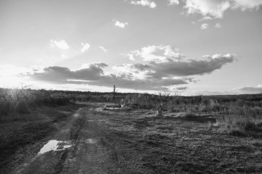 Çayır arkaplanındaki yay alanı