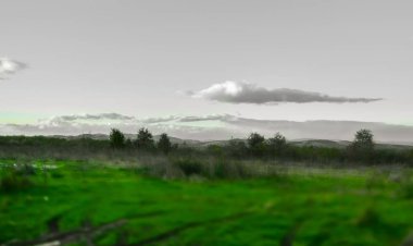 Çayır arkaplanındaki yay alanı