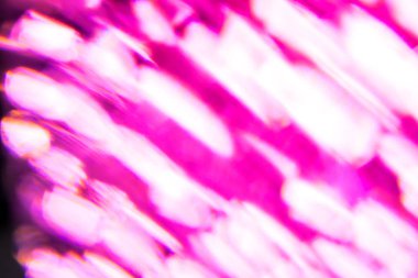 Işıklı mor arkaplan, kapat