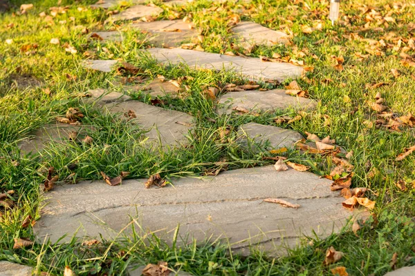 Herfst Bladeren Begane Grond Achtergrond — Stockfoto