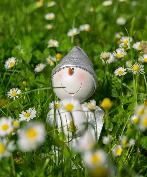 Bałwan Zielonym Polu Kwiatami — Zdjęcie stockowe