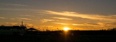 Genç bir ormanın yakınındaki çayırda güneşli bir kış günü.