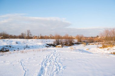 Kış günbatımı buharlı mısır tarlasında
